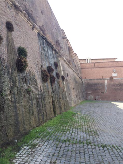 Vatican Cityitaly Border Walls The Parts You Dont Usually See Oc