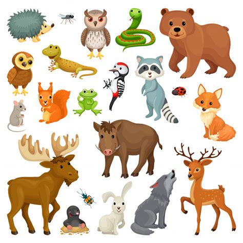 Premium Vector Set Of Forest Animals And Birds