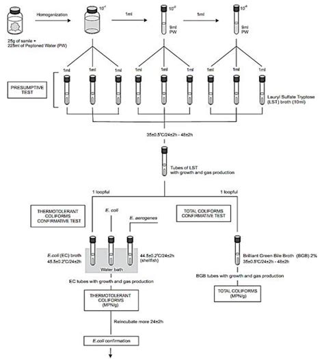 Most Probable Number Mpn Method Apha 2001 For Total Coliforms