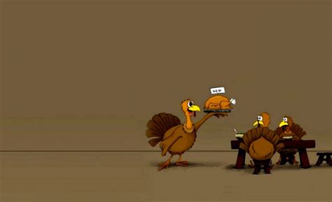 58 Funny Thanksgiving Wallpapers Wallpapersafari