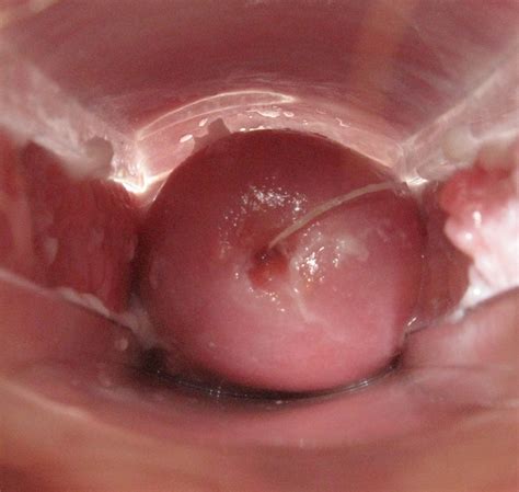 Penis Inside Vagina Telegraph