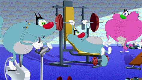 Oggy And The Cockroaches 💪 Oggy The Bodybuilder 💪 Full Episodes Hd