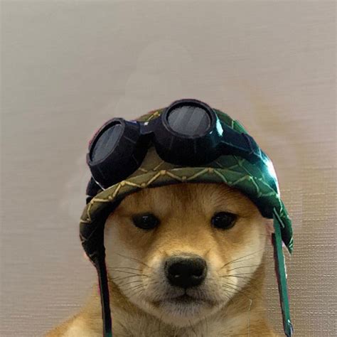 Visartheking Visar0507 Twitter Dog Memes Dog Icon Dog Images