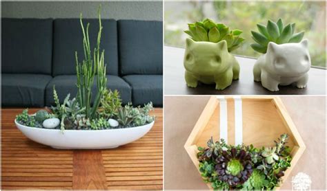 20 Cute Indoor Succulent Plant Decor Ideas To Beautify