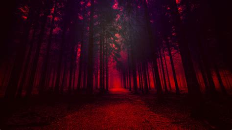 Red Forest Wallpaper Hd Nature 4k Wallpapers Images Photos And
