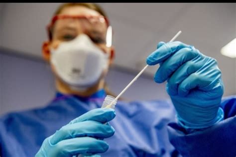 Il premier draghi sarà a bergamo con fontana. Covid-19 - Costante il numero dei nuovi casi nel messinese ...