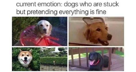 33 Current Mood Memes That Have Almost Consulted You Personally