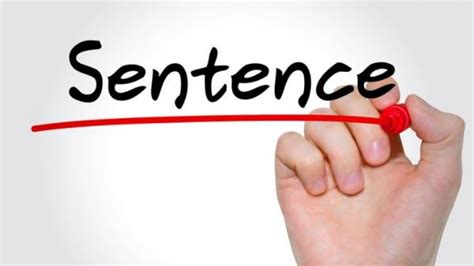 10 Contoh Kalimat Efektif Lengkap Beserta Pembahasannya