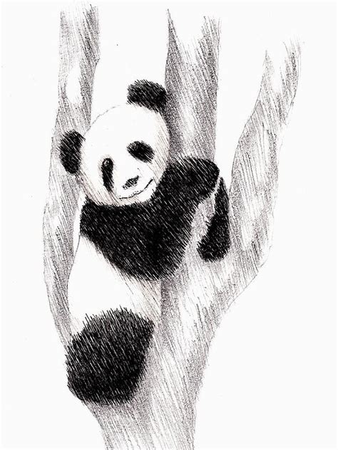 How To Draw A Realistic Panda Draw Real Panda Step By