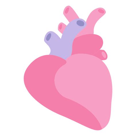 Diseño Png Y Svg De Órgano Humano Del Corazón Para Camisetas