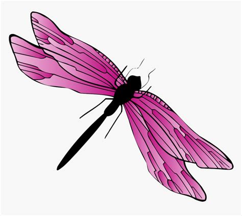 Dragonfly Clipart  Hd Png Download Kindpng