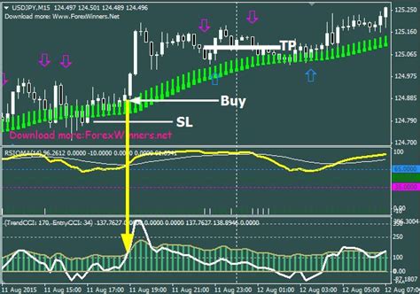 Rsioma Scalping System Free For Metatrader 4 Platform Forex How To Become System