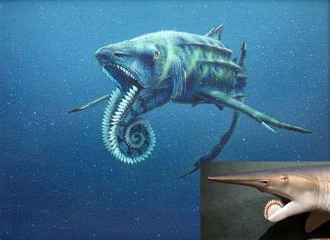 Helicoprion A Prehistoric Shark Wth Never Heard Of This Guy Weird
