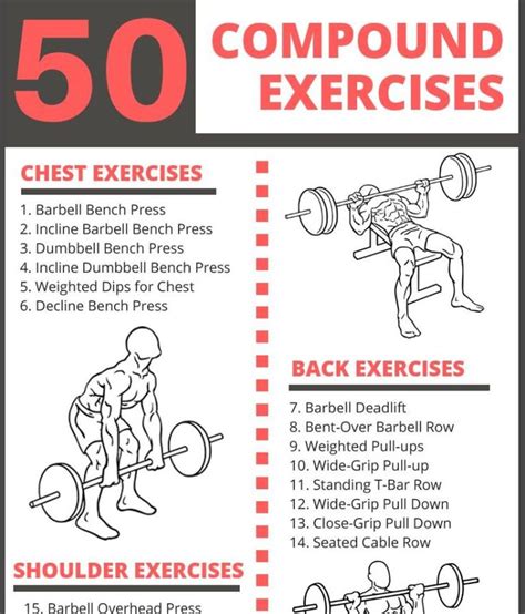 The Ultimate List Of Compound Exercises Muscle Building Exercises