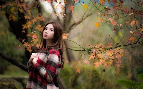 fondos de pantalla 1920x1200 otoño asiático bokeh pose rama follaje lindo cabello castaño