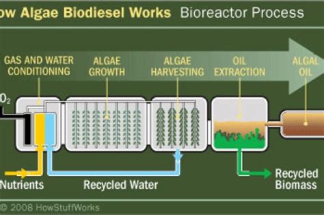 Algae Biorefinery Promise And Potential Ecomena