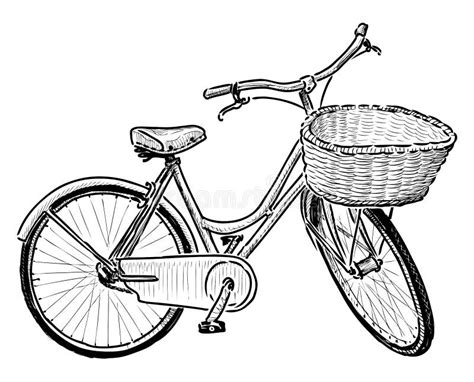 Croquis De Vélos Femelle Urbaine Avec Le Panier Illustration De Vecteur