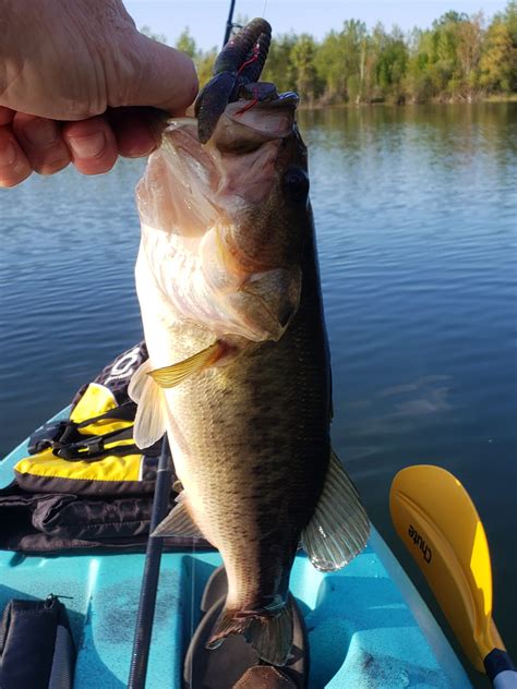 Pond Fishing For Largemouth Bass Hike Kayak Fish