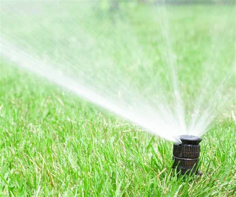 Professional Irrigation Installation In Reno Nv Top Rated