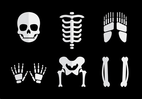 Clipart Black And White Stock Bones Vector Human Bone