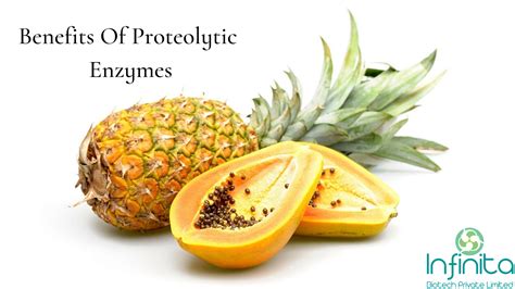Proteolytic Enzymes How They Work Benefits And Sources