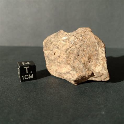 Meteorites For Sale Nwa 12415 Hed Achondrite Eucrite Meteorite End