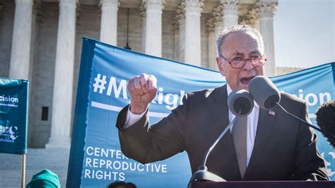 Opinion Schumer And The War On Judges