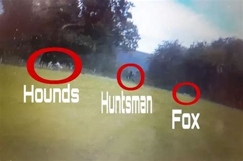 fox hunt saboteurs outraged after flint and denbigh case dropped by police north wales live