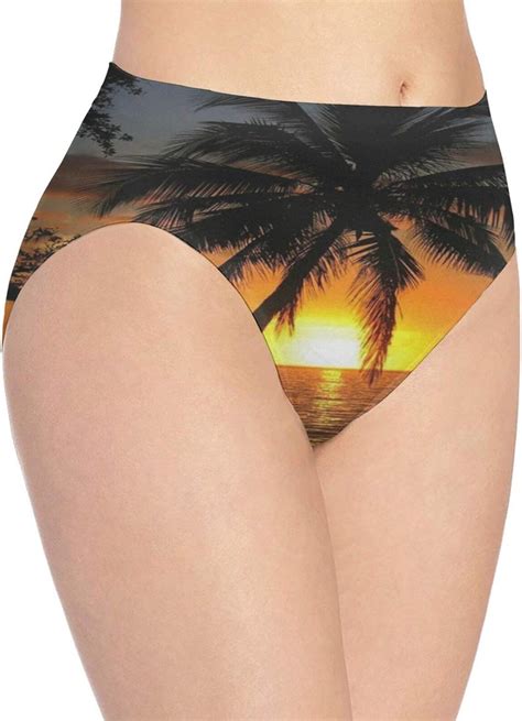 Sunset With Coconut Palm Tree Womens Underwear Bikini Briefs Panties