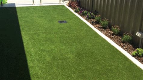 5 Things You Need To Know About Artificial Turf Coastal Synthetic Turf