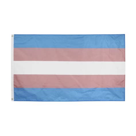 Large Trans Flag Pride Whanganui