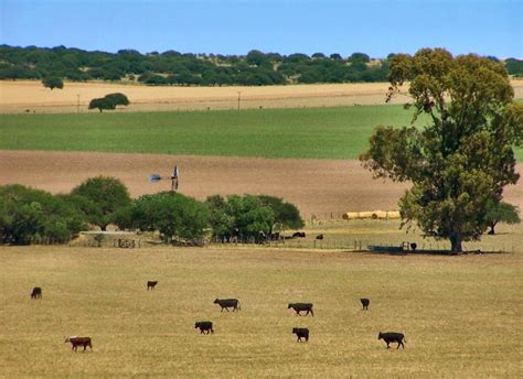 La Pampa Argentina Historia Caracteristicas Clima Turismo Y Más