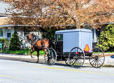 Horse And Buggy In Lancaster Pennsylvania Photograph By William E