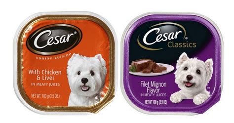 Cesar Dog Food Only 41¢ Per Tray Southern Savers