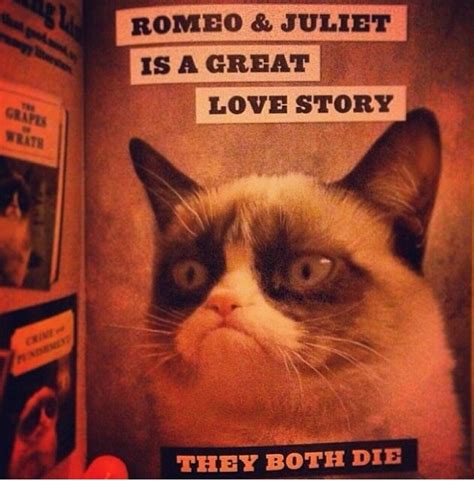 Pin On Romeo And Juliet