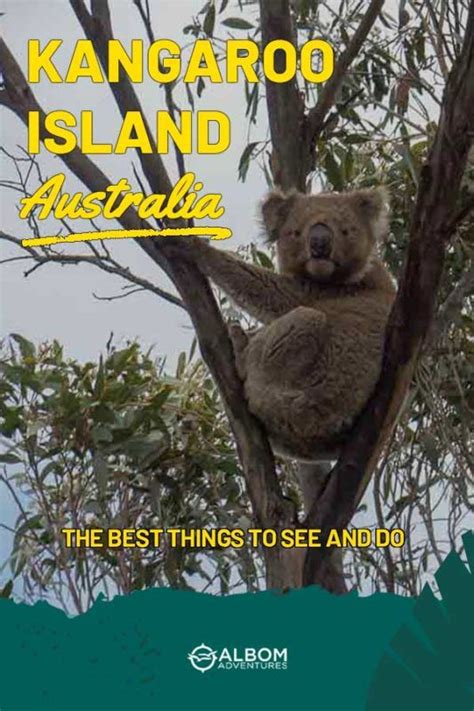 Things To Do In Kangaroo Island Itinerary For 2021 Kangaroo Island