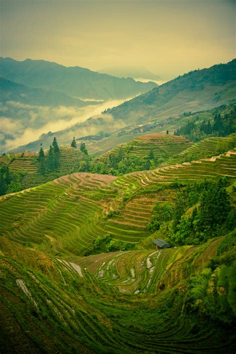 Rice Terraces Of Longsheng On Behance