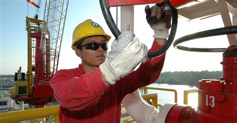 Pt duta nichirindo pratama karir. :: PT.APEXINDO PRATAMA DUTA