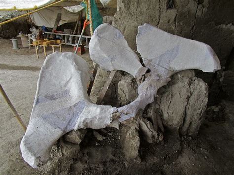 Mexican Archaeologists Just Unearthed A Humongous Mass Grave Filled