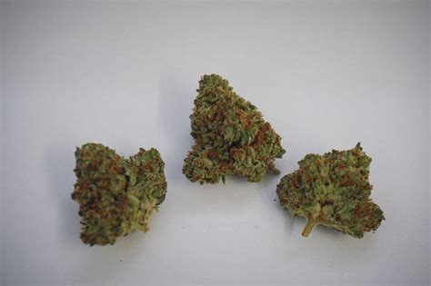 Blackberry Kush Why Colorado Tokers Love This Strain Westword
