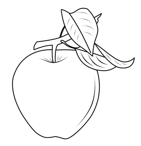 gambar buah apel segar  buah sehat