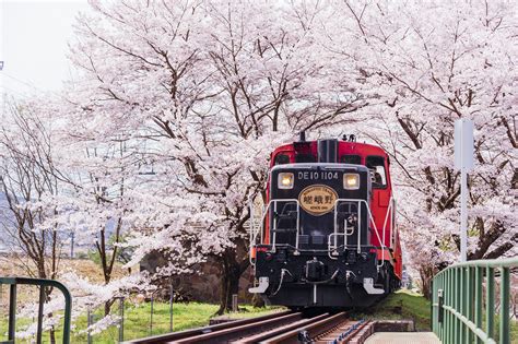 Sagano Romantic Train And Kyoto Round Trip Wendy Tour Malaysia Tour