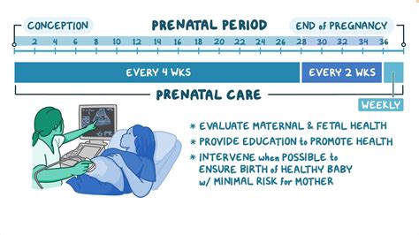 Prenatal Care Nursing Osmosis Video Library