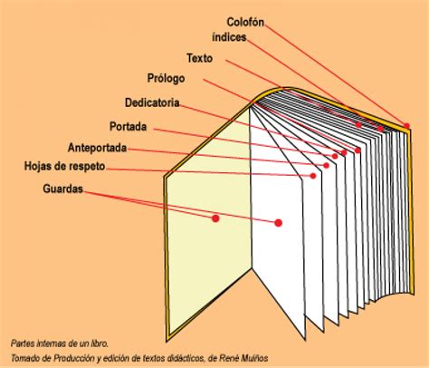 ¿en cuántas partes se divide un libro? El libro por dentro y por fuera | Visual.ly