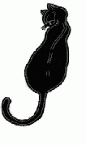 Cat Tail Wagging Sticker Cat Tail Wagging Funny Discover Share GIFs