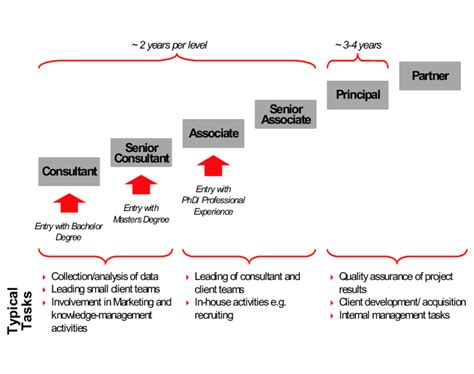 Graphic Diagram Of Career Path Business Analyst