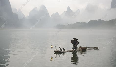 Chinese Fisherman On Li River China Stock Image C0123360