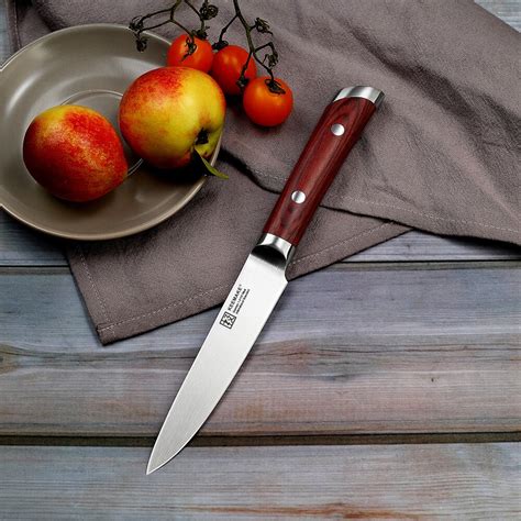 Buy Sunnecko 2018 New 5 Utility Knife German 14116