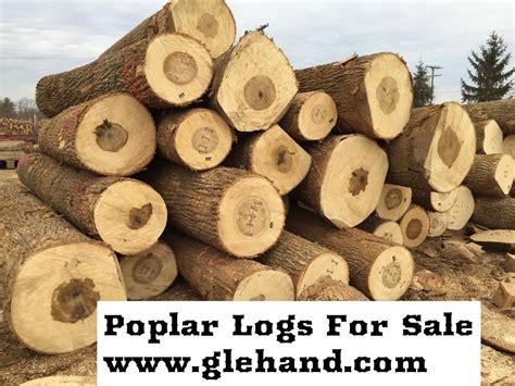 We Are Specialized On Exporting Logs Timberlumber Veneer Wood Equipment Firewood Beech
