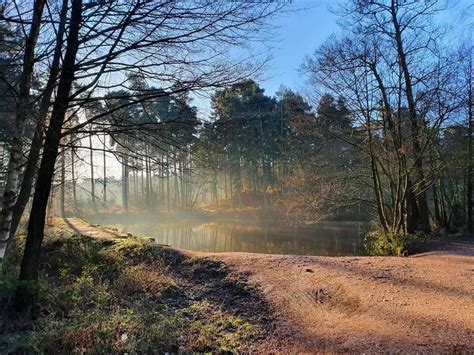 Cannock Chase And Chasewater Set To Receive £450000 Funding To Boost